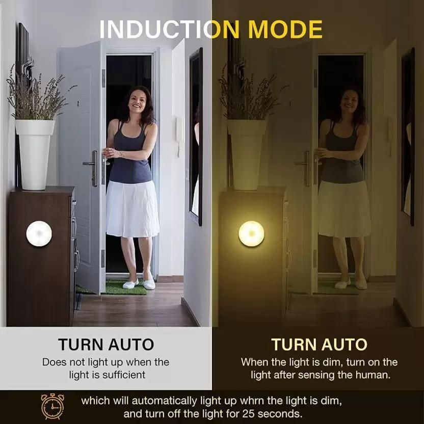 Motion Sensor Light for Home